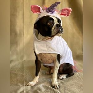 Unicorn Dog Costume